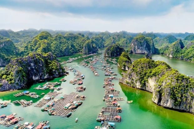 Vịnh Lan Hạ Review - chợ nổi Vịnh Lan Hạ