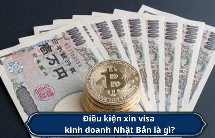 điều kiện xin visa kinh doanh l&agrave; g&igrave;