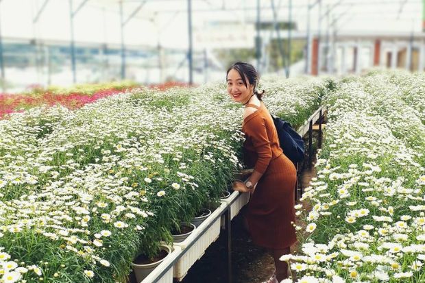 Cảnh đẹp Đà Lạt - Làng hoa Vạn Thành