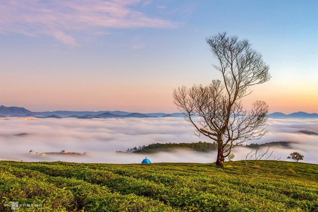 Cảnh đẹp Đà Lạt - Đà Lạt tháng 10 đến tháng 12