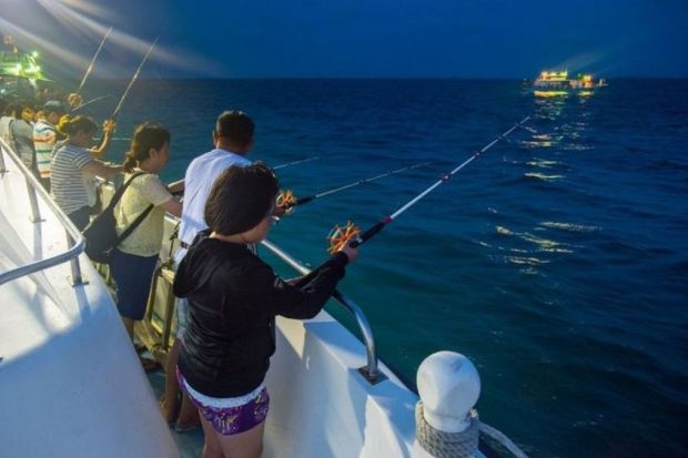 c&ocirc;n đảo c&oacute; g&igrave; chơi - c&acirc;u mực