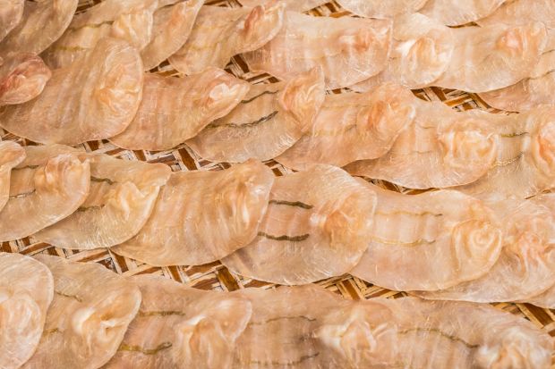 đặc sản nha trang - bong b&oacute;ng c&aacute;