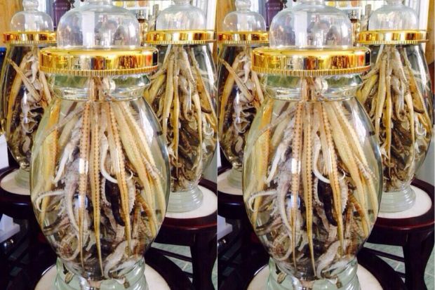 đặc sản nha trang - c&aacute; ngựa kh&ocirc;