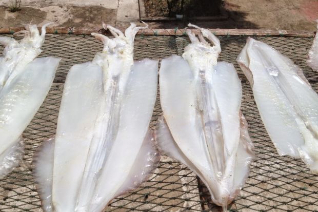 đặc sản nha trang - mực 1 nắng