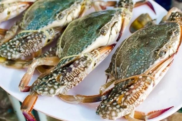 đặc sản ninh thuận - ghẹ xanh