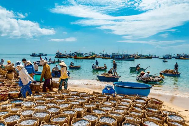 Đặc sản Phan Thiết - chú ý