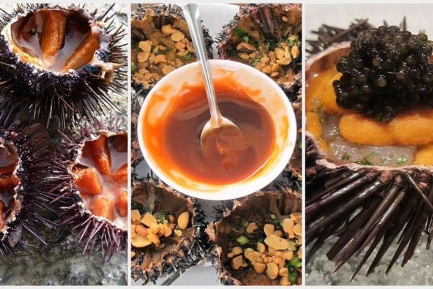 đặc sản quy nhơn - mắm nhum