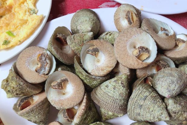 đặc sản vũng t&agrave;u - ốc v&uacute; n&agrave;ng 