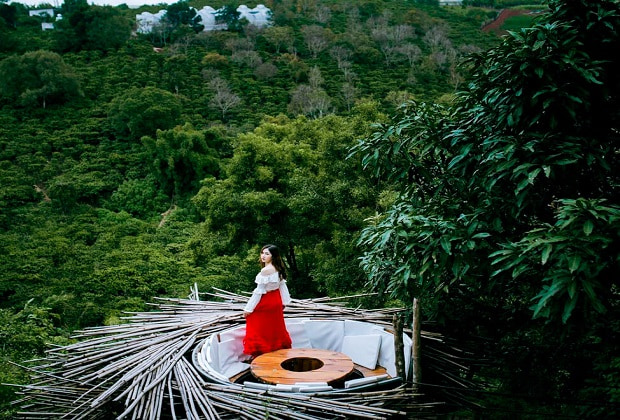 dalaland đà lạt - tổ chim dalaland đà lạt