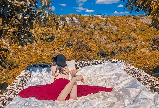 dalaland đà lạt - giới thiệu dalaland đà lạt