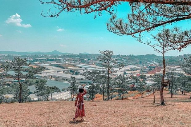 Đồi Đa Phú Đà Lạt - Đồi Đa Phú