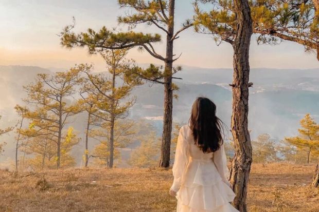 Đồi Đa Phú Đà Lạt - Thành quả xứng đáng