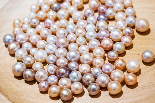 Du lịch nam đảo Phú Quốc - Trang trại sản xuất ngọc trai