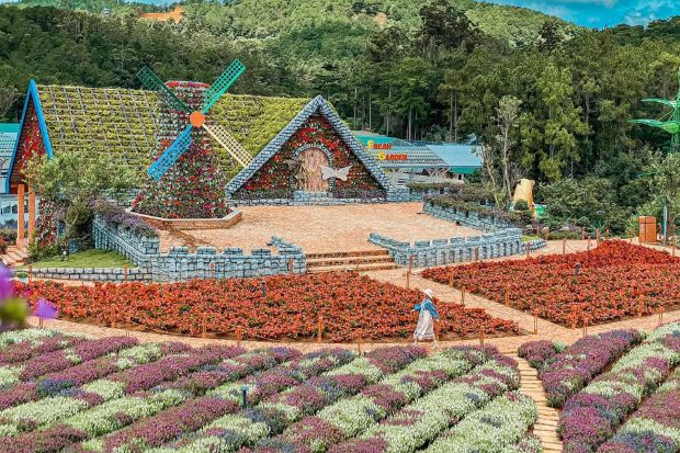 Fresh Garden Đà Lạt - Nhà phủ hoa và cối xay gió 