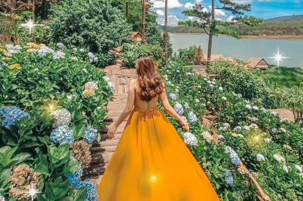 Happy Hill Đà Lạt - Đường hoa cẩm tú cầu