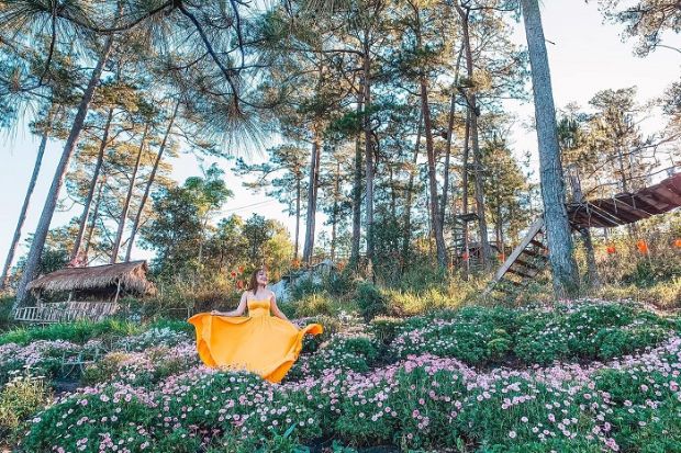 Happy Hill Đà Lạt - Những lưu ý