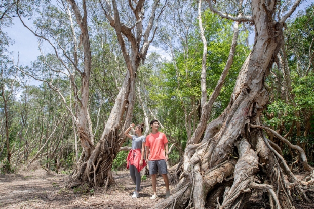 Hồ Tràm có gì chơi - Rừng nguyên sinh Bình Châu - Phước Bửu 