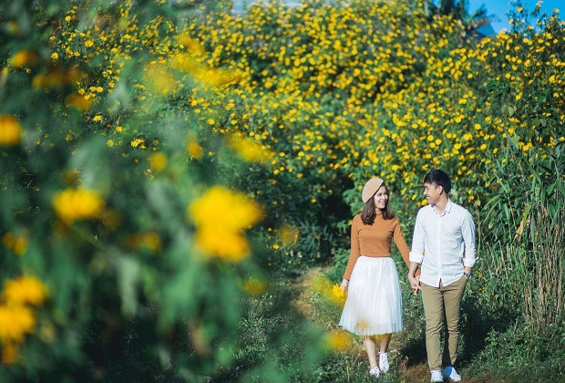 hoa dã quỳ đà lạt - sự tích về hoa dã quỳ