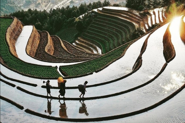 Ho&agrave;ng Su Ph&igrave; - M&ugrave;a nước đổ