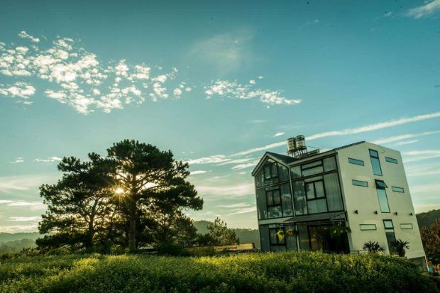 homestay đ&agrave; lạt view n&uacute;i rừng - The kupid