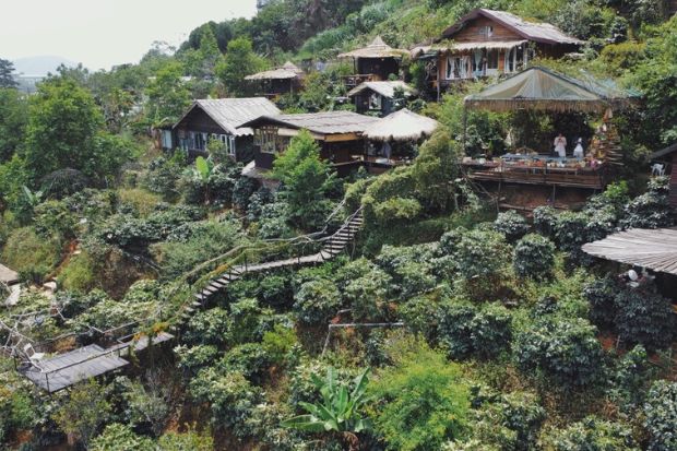 homestay đ&agrave; lạt view n&uacute;i rừng - c&uacute; tr&ecirc;n mấy