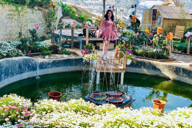 Ixora Đà Lạt - Đôi nét về Ixora Đà Lạt