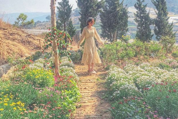 Ixora Đà Lạt - Vườn hoa rực rỡ