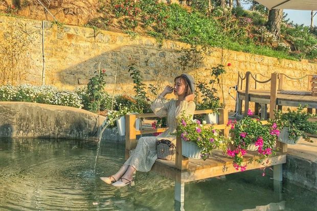 Ixora Đà Lạt - Tiểu cảnh