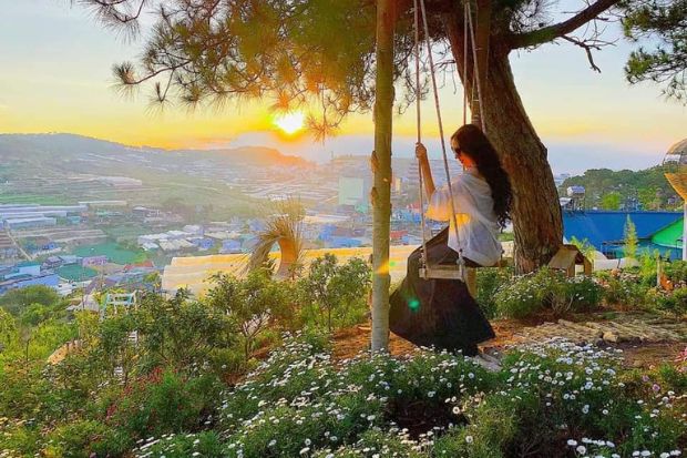 Ixora Đà Lạt - Những điều lưu ý