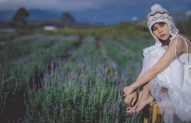 lavender đà lạt - cầu đất
