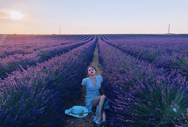 Khám phá 2 cánh đồng hoa Lavender Đà Lạt đẹp nhất thành phố