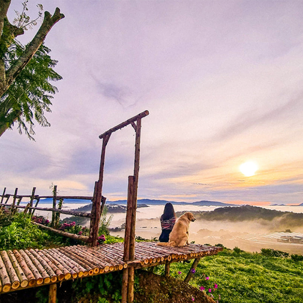 Lịch bay Đ&agrave; Nẵng Đ&agrave; Lạt
