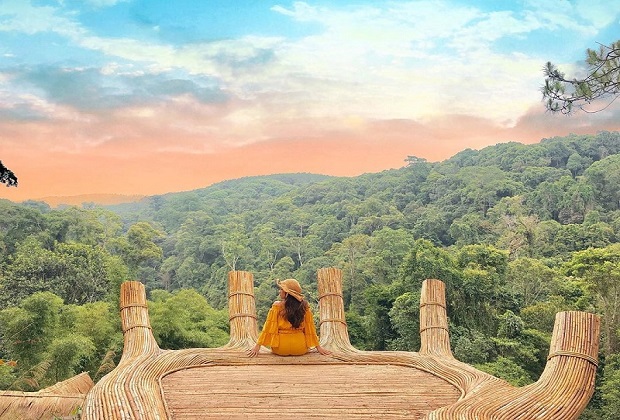 mongo land đà lạt - hoa sơn điền trang