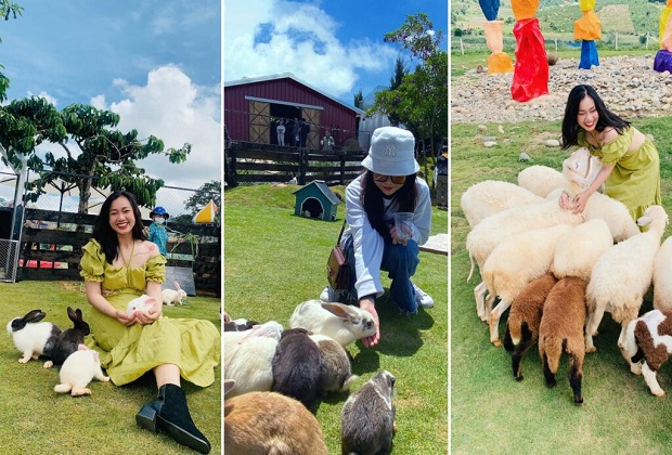 mongo land đà lạt - vui chơi với thú