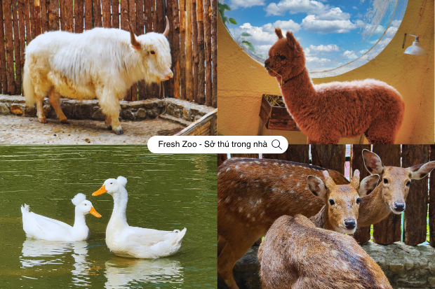 Sở th&uacute; ở Đ&agrave; Lạt với nhiều loại th&uacute; đa dạng dễ thương