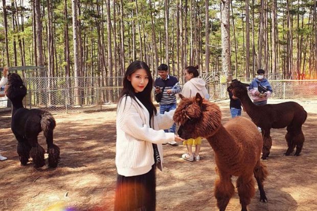 Sở th&uacute; ở Đ&agrave; Lạt - Vườn th&uacute; Zoodoo