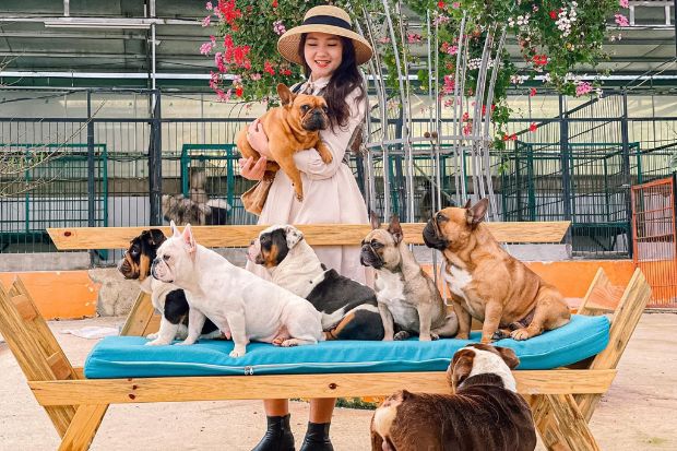 Sở th&uacute; ở Đ&agrave; Lạt - N&ocirc;ng trại c&uacute;n Puppy Farm 