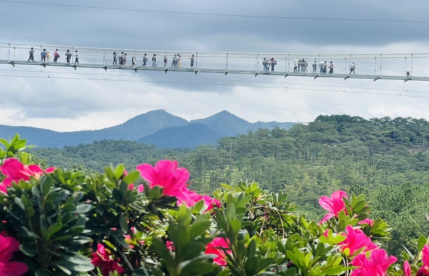 tham quan cầu kính 7d đà lạt - cầu kính 7d đà lạt ở đâu