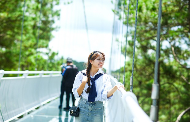 tham quan cầu kính 7d đà lạt - chiêm ngưỡng phong cách cầu kính 7d đà lạt