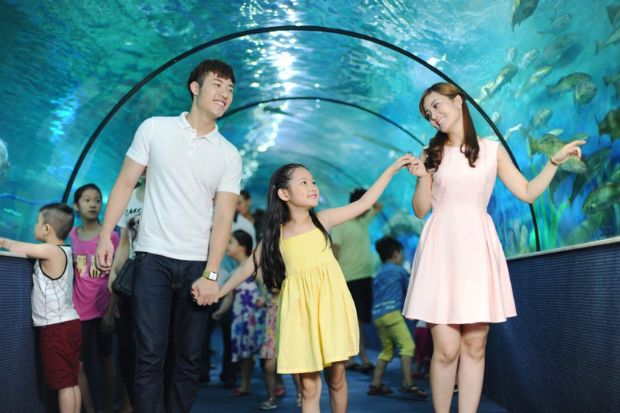 Tham quan thủy cung Times City - Lưu &yacute; khi tham quan