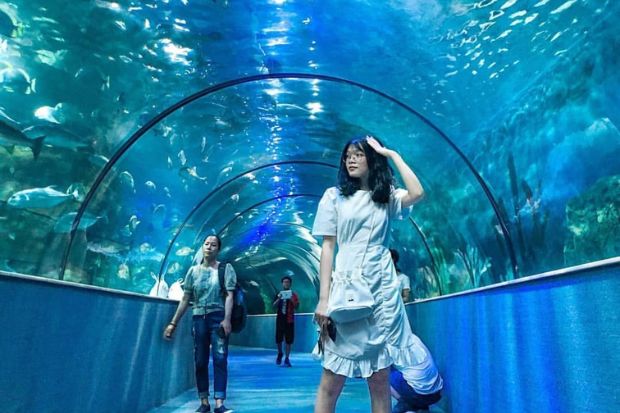 Tham quan thủy cung Times City - Điều đặc biệt