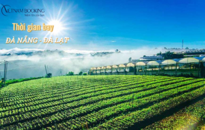Thời gian bay Đà Nẵng đi Đà Lạt các hãng hàng không giá rẻ