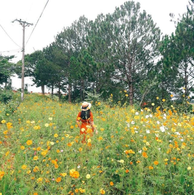 Thời tiết Đ&agrave; Lạt th&aacute;ng 8