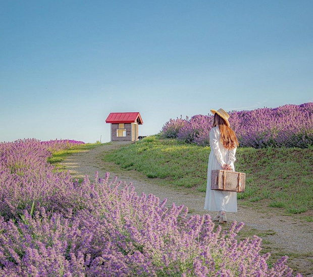 Thời tiết Nhật Bản tháng 8 