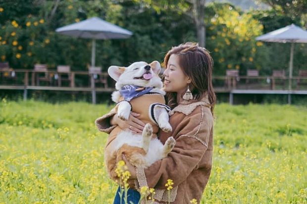 Thôn 13 Đà Lạt - Check-in cùng cún