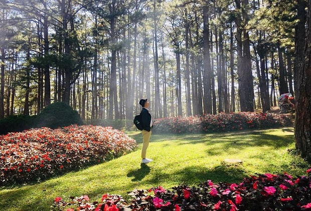 thung lũng vàng đà lạt - khu vườn 