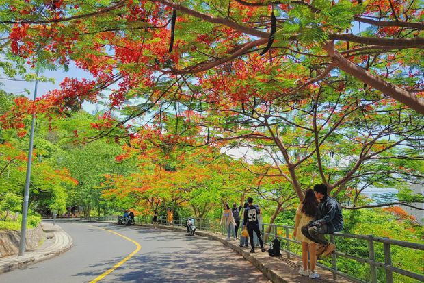 Trải nghiệm du lịch Vũng T&agrave;u gi&aacute; rẻ với combo - đường đến