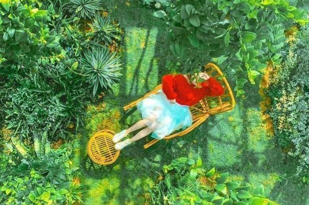 Tulutula Đ&agrave; Lạt - Kh&ocirc;ng gian xanh