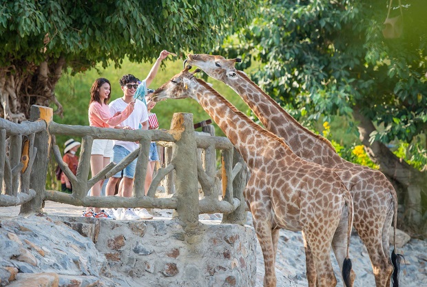 vé máy bay lễ 2/9