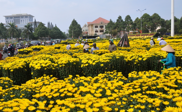 Vé máy bay Tết 2024 đi Buôn Ma Thuột